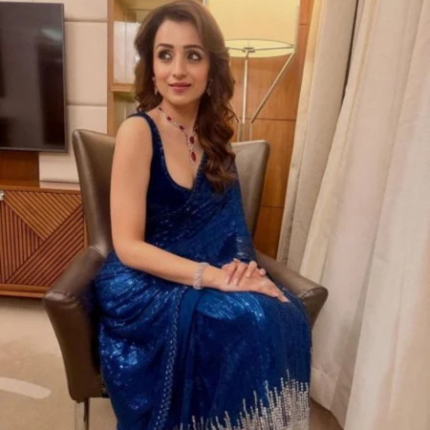 Navy Blue Georgette Saree with Heavy Work